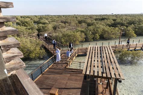 Jubail Mangrove Park in Abu Dhabi: all you need to .